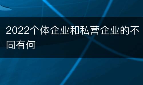 2022个体企业和私营企业的不同有何