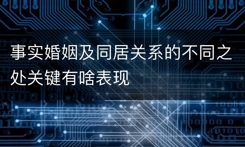 事实婚姻及同居关系的不同之处关键有啥表现