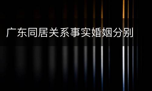 广东同居关系事实婚姻分别