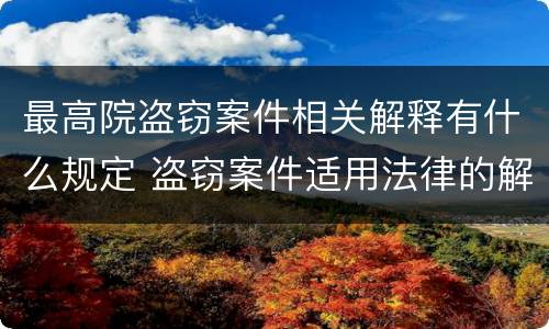 最高院盗窃案件相关解释有什么规定 盗窃案件适用法律的解释