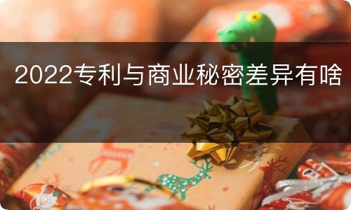 2022专利与商业秘密差异有啥