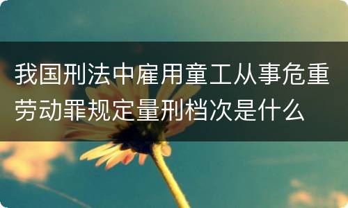 我国刑法中雇用童工从事危重劳动罪规定量刑档次是什么