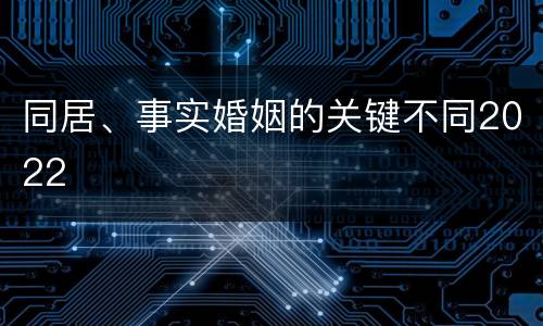 同居、事实婚姻的关键不同2022