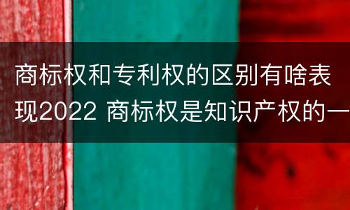 商标权和专利权的区别有啥表现2022 商标权是知识产权的一种吗