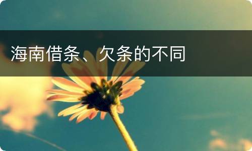 海南借条、欠条的不同