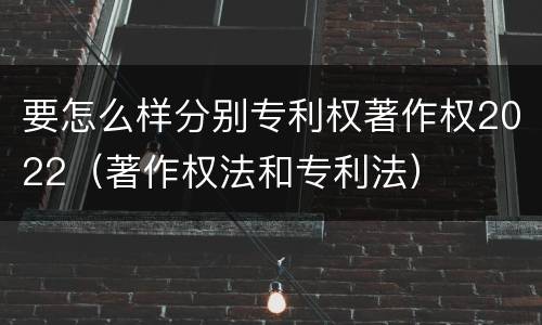要怎么样分别专利权著作权2022（著作权法和专利法）