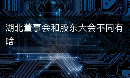 湖北董事会和股东大会不同有啥