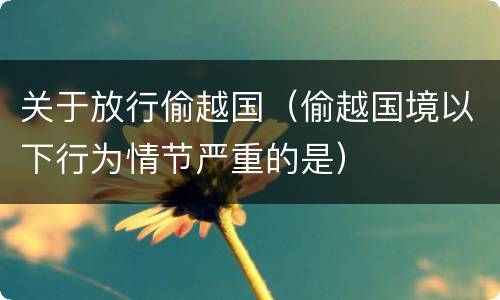 关于放行偷越国（偷越国境以下行为情节严重的是）