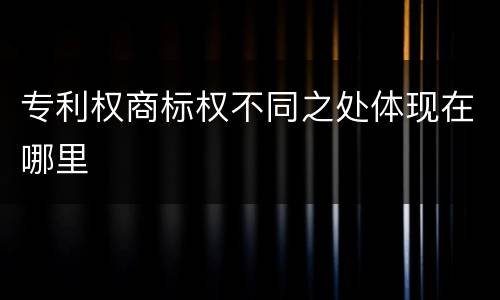 专利权商标权不同之处体现在哪里