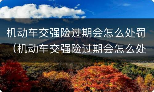 机动车交强险过期会怎么处罚（机动车交强险过期会怎么处罚呢）