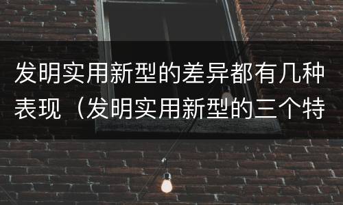 发明实用新型的差异都有几种表现（发明实用新型的三个特点）
