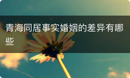 青海同居事实婚姻的差异有哪些