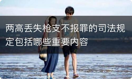 两高丢失枪支不报罪的司法规定包括哪些重要内容
