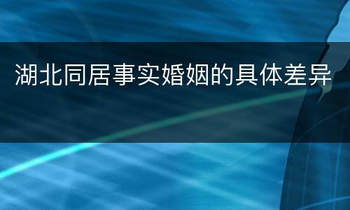 湖北同居事实婚姻的具体差异