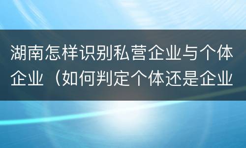 湖南怎样识别私营企业与个体企业（如何判定个体还是企业）