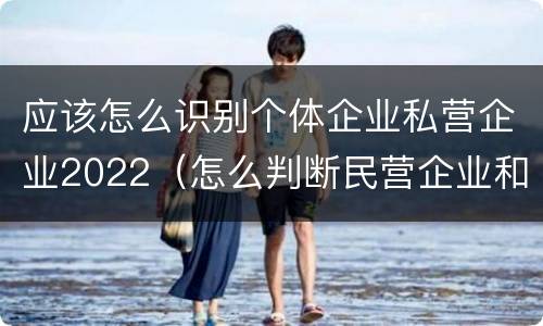 应该怎么识别个体企业私营企业2022（怎么判断民营企业和私营企业）