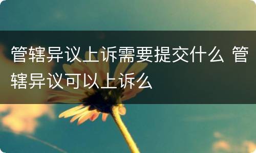 管辖异议上诉需要提交什么 管辖异议可以上诉么