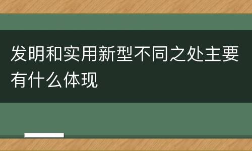 发明和实用新型不同之处主要有什么体现