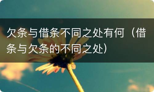 欠条与借条不同之处有何（借条与欠条的不同之处）