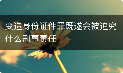 变造身份证件罪既遂会被追究什么刑事责任