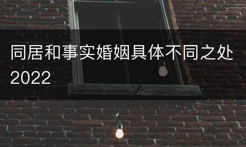 同居和事实婚姻具体不同之处2022