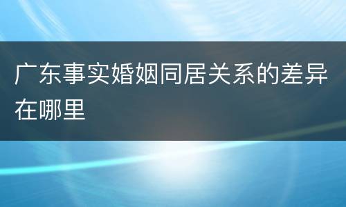 广东事实婚姻同居关系的差异在哪里