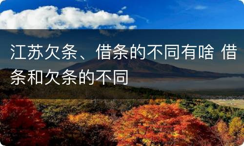 江苏欠条、借条的不同有啥 借条和欠条的不同