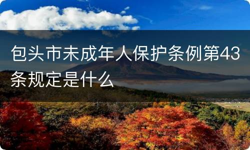 包头市未成年人保护条例第43条规定是什么
