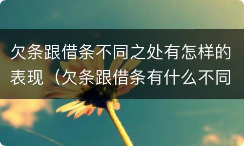 欠条跟借条不同之处有怎样的表现（欠条跟借条有什么不同）