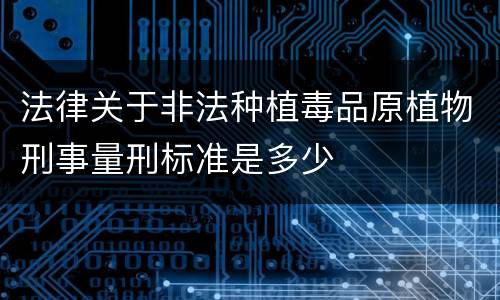 法律关于非法种植毒品原植物刑事量刑标准是多少