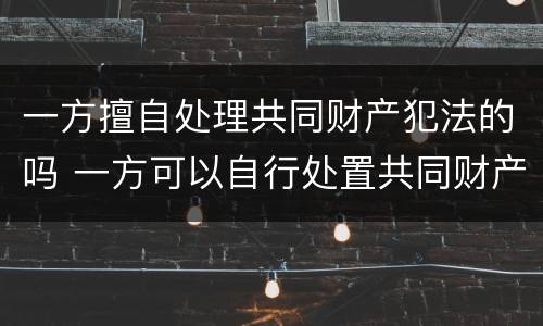 一方擅自处理共同财产犯法的吗 一方可以自行处置共同财产吗