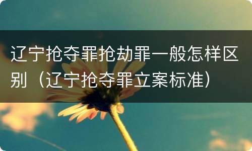 辽宁抢夺罪抢劫罪一般怎样区别（辽宁抢夺罪立案标准）