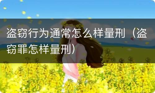 盗窃行为通常怎么样量刑（盗窃罪怎样量刑）