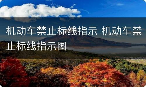 机动车禁止标线指示 机动车禁止标线指示图