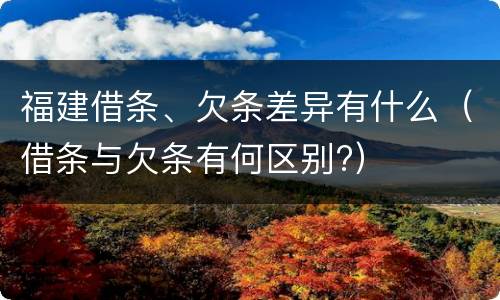 福建借条、欠条差异有什么（借条与欠条有何区别?）