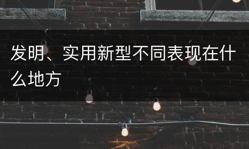 发明、实用新型不同表现在什么地方