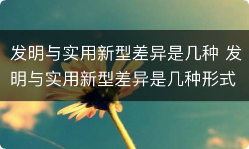 发明与实用新型差异是几种 发明与实用新型差异是几种形式