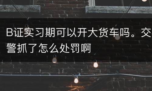 B证实习期可以开大货车吗。交警抓了怎么处罚啊