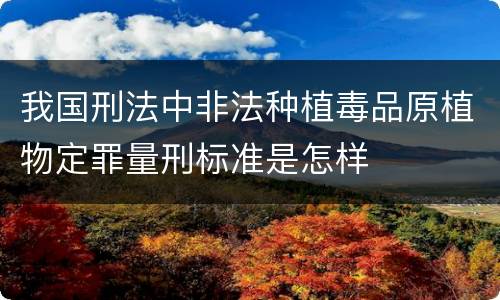 我国刑法中非法种植毒品原植物定罪量刑标准是怎样