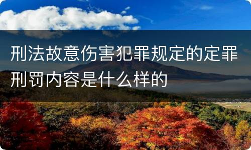 刑法故意伤害犯罪规定的定罪刑罚内容是什么样的