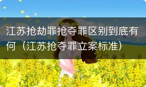 江苏抢劫罪抢夺罪区别到底有何（江苏抢夺罪立案标准）
