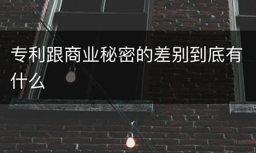 专利跟商业秘密的差别到底有什么