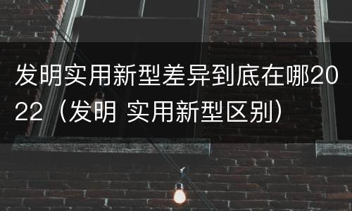 发明实用新型差异到底在哪2022（发明 实用新型区别）