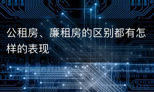 公租房、廉租房的区别都有怎样的表现