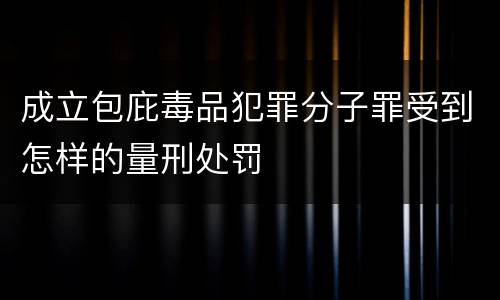 成立包庇毒品犯罪分子罪受到怎样的量刑处罚