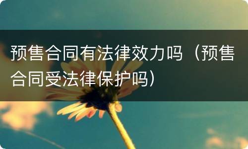 预售合同有法律效力吗（预售合同受法律保护吗）