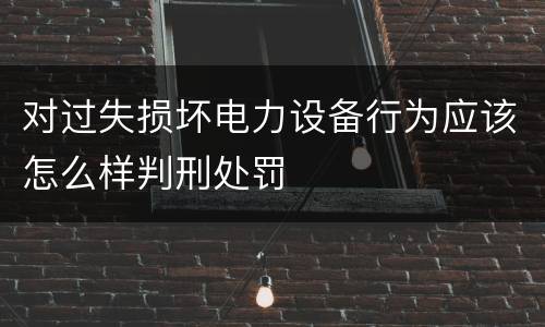 对过失损坏电力设备行为应该怎么样判刑处罚