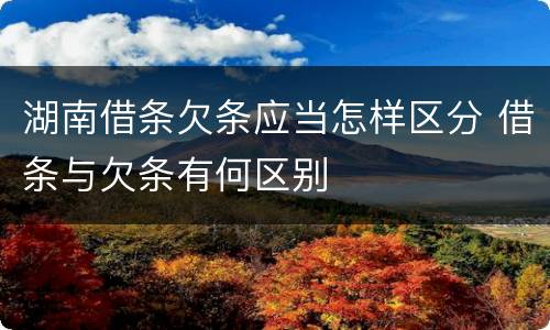湖南借条欠条应当怎样区分 借条与欠条有何区别