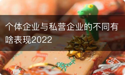 个体企业与私营企业的不同有啥表现2022