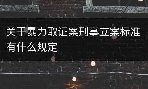 关于暴力取证案刑事立案标准有什么规定